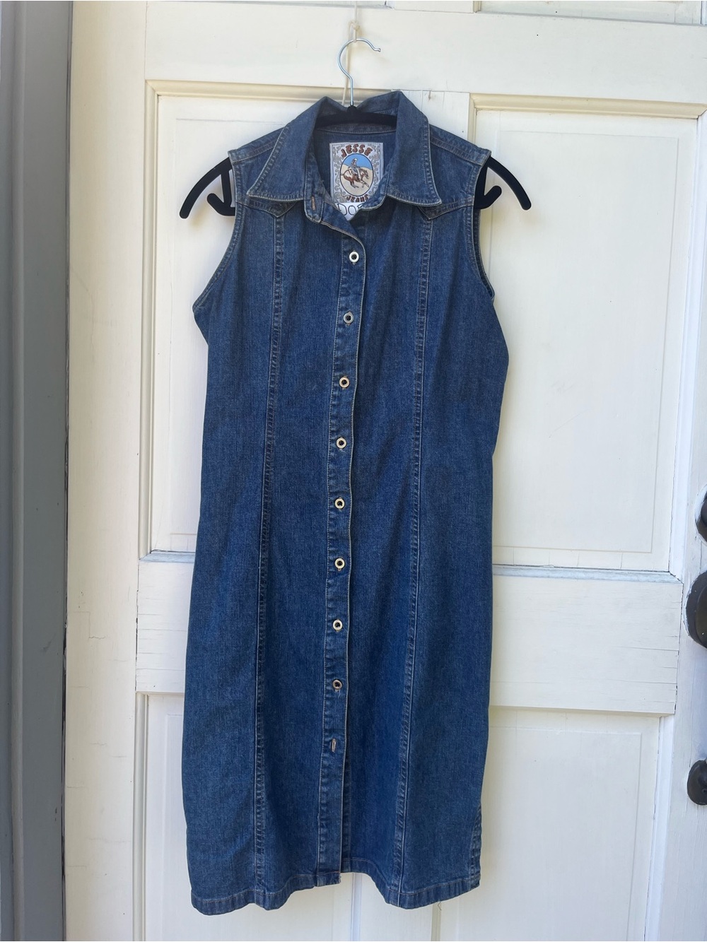 Small town Button-Front Denim Dress